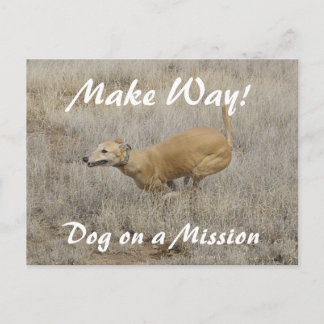 Hund auf Mission Postkarte