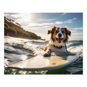 Hund auf Surfbrett Fotodruck