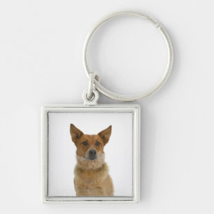 Hund auf Weiß 01 Schlüsselanhänger