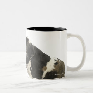 Hund auf Weiß 11 Zweifarbige Tasse