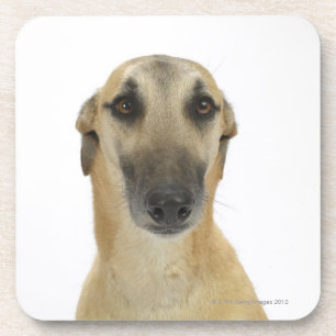 Hund auf Weiß 41 Getränkeuntersetzer