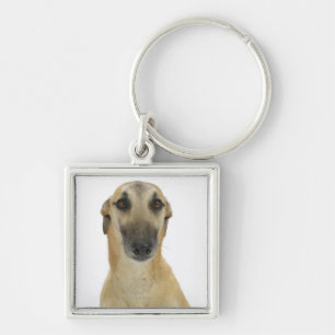 Hund auf Weiß 41 Schlüsselanhänger