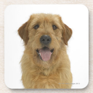 Hund auf Weiß 44 Untersetzer