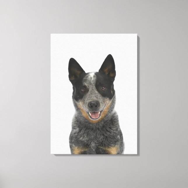 Hund auf Weiß 5 Leinwanddruck (Vorderseite)