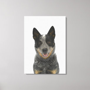 Hund auf Weiß 5 Leinwanddruck
