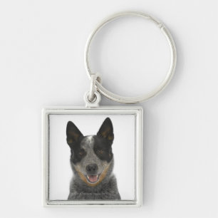 Hund auf Weiß 5 Schlüsselanhänger