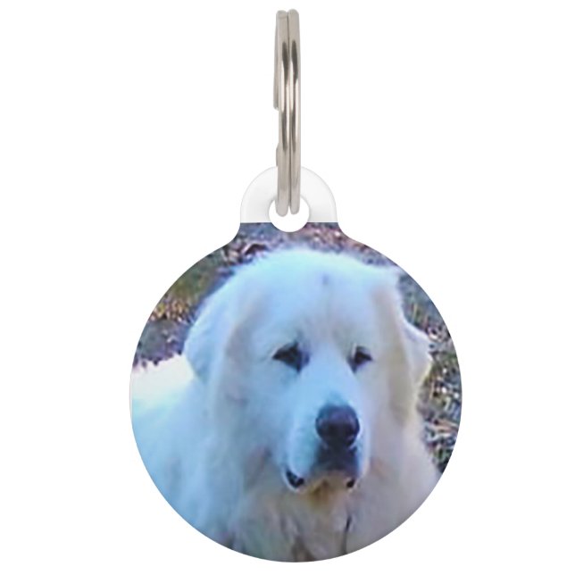 Hund aus dem Pyrenäen. Haustiermarke (Vorderseite)