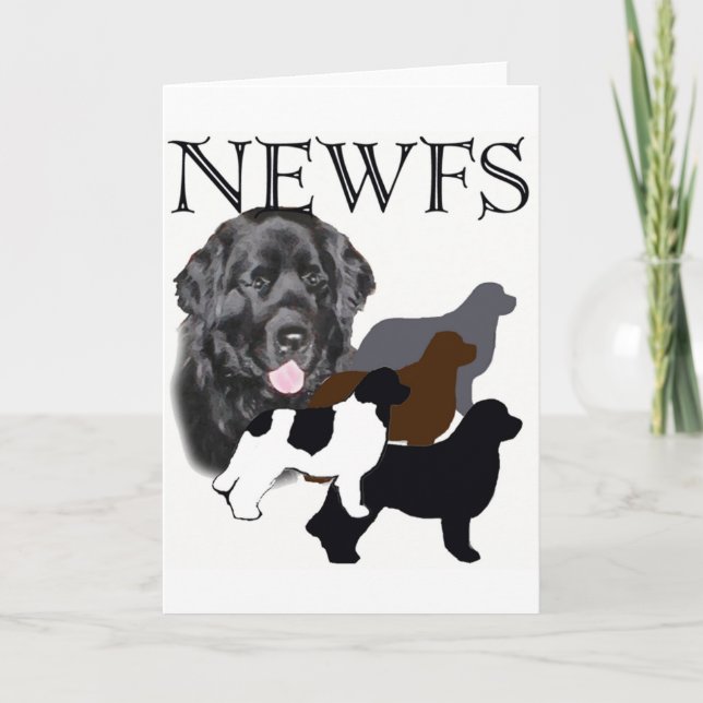 Hund aus Neufundland - vier Farben Karte (Vorderseite)