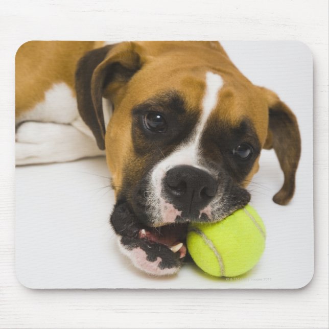 Hund beißen Tennisball Mousepad (Vorne)