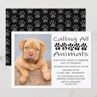 Hund Birthday Foto Einladung