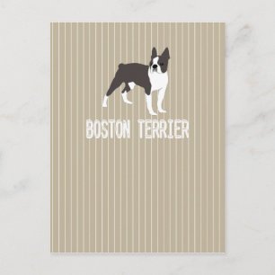 Hund Boston Terrier Postkarte