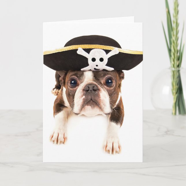 Hund Bostons Terrier gekleidet als Pirat Karte (Vorderseite)