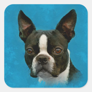 Hund Bostons Terrier Quadratischer Aufkleber