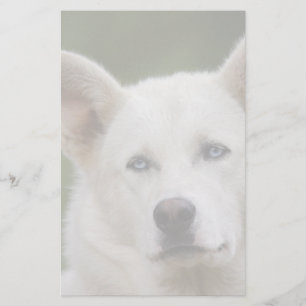Hund Briefpapier