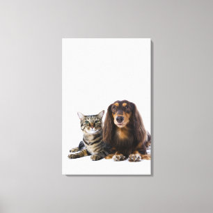 Hund (Dackel) und Katze (japanische Katze) auf Leinwanddruck