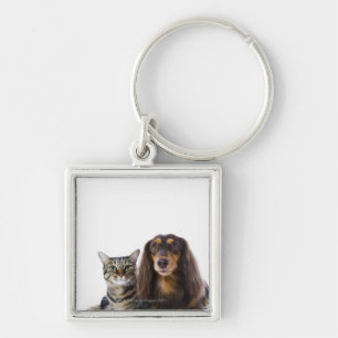 Hund (Dackel) und Katze (japanische Katze) auf Schlüsselanhänger