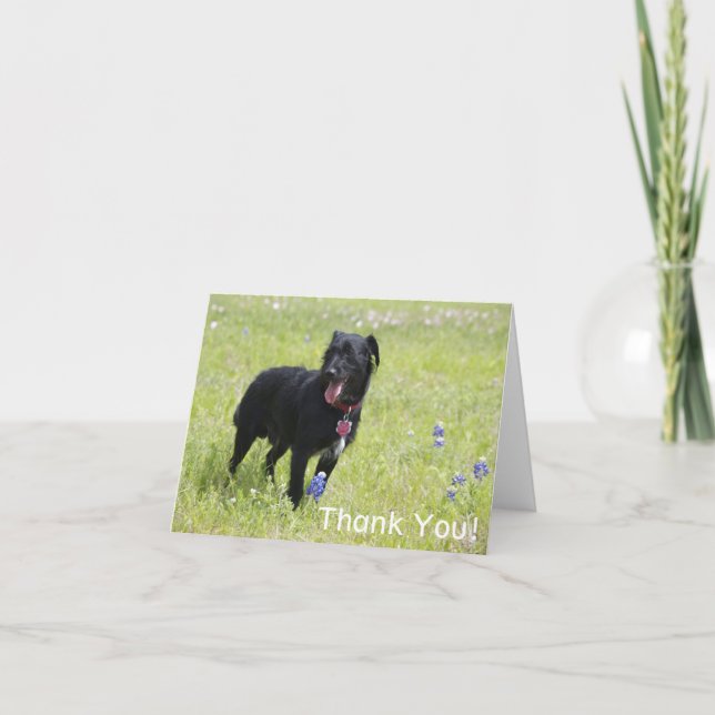Hund Danke Karte (Vorderseite)