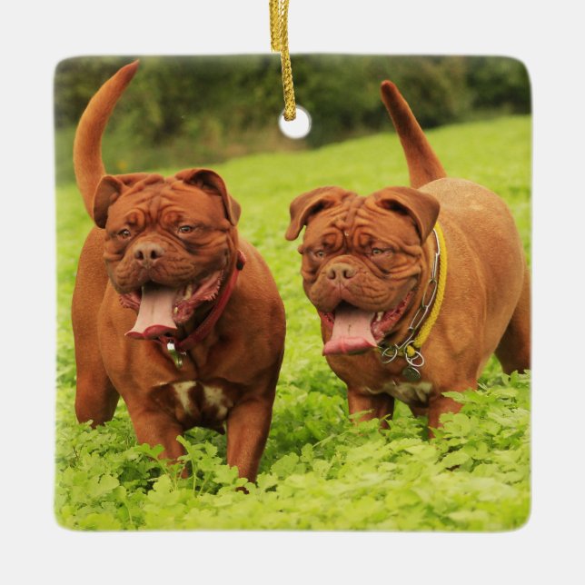 Hund De Bordeaux Hunde im Gras Keramikornament (Vorderseite)