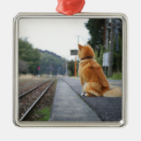 Hund, der auf Bahnstation sitzt