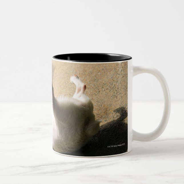 Hund, der auf dem Boden liegt Zweifarbige Tasse (Rechts)