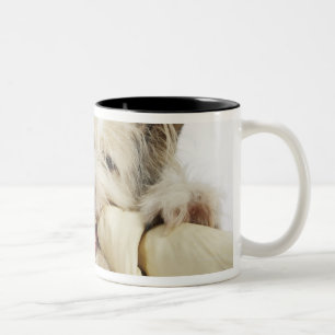 Hund, der auf Schlachthaut-Knochen kaut Zweifarbige Tasse