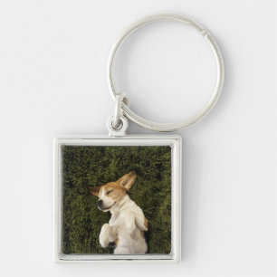 Hund, der beim Gras-Schlafen liegt Schlüsselanhänger