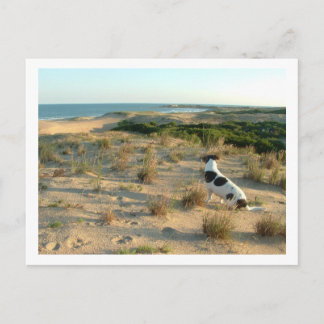 Hund, der das Meer betrachtet Postkarte