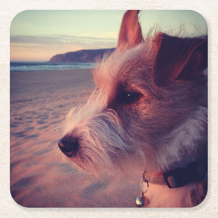 Hund, der den Strand gegenüberstellt Rechteckiger Pappuntersetzer
