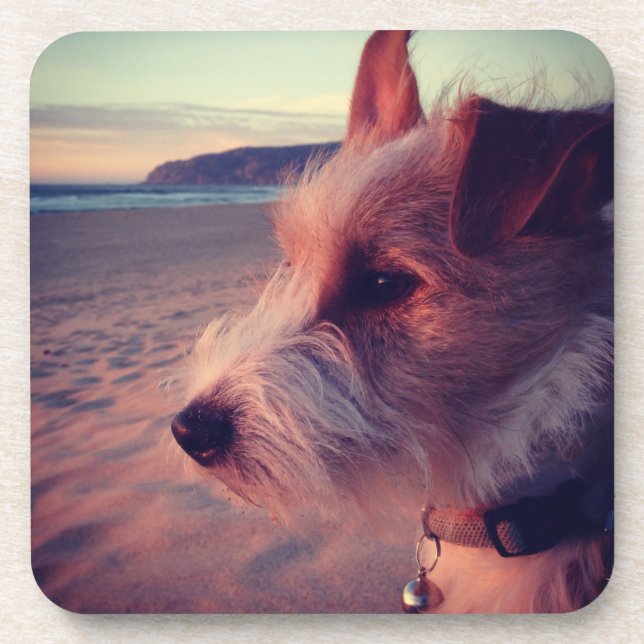 Hund, der den Strand gegenüberstellt Untersetzer (Vorderseite)