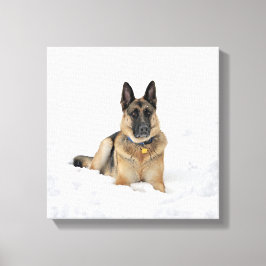 Hund der deutschen Schäferhunde in Schneekanonen Leinwanddruck