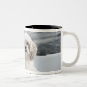 Hund, der durch das Wasser legt Zweifarbige Tasse