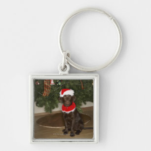 Hund, der durch einen Weihnachtsbaum sitzt Schlüsselanhänger