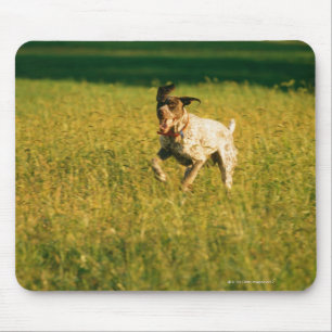 Hund, der durch Gras läuft Mousepad