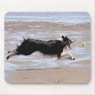 Hund, der einen Ball am Strand jagt Mousepad