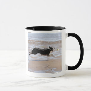 Hund, der einen Ball am Strand jagt Tasse