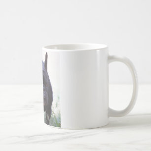 Hund der französischen Bulldogge Kaffeetasse