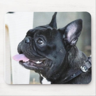 Hund der französischen Bulldogge Mousepad