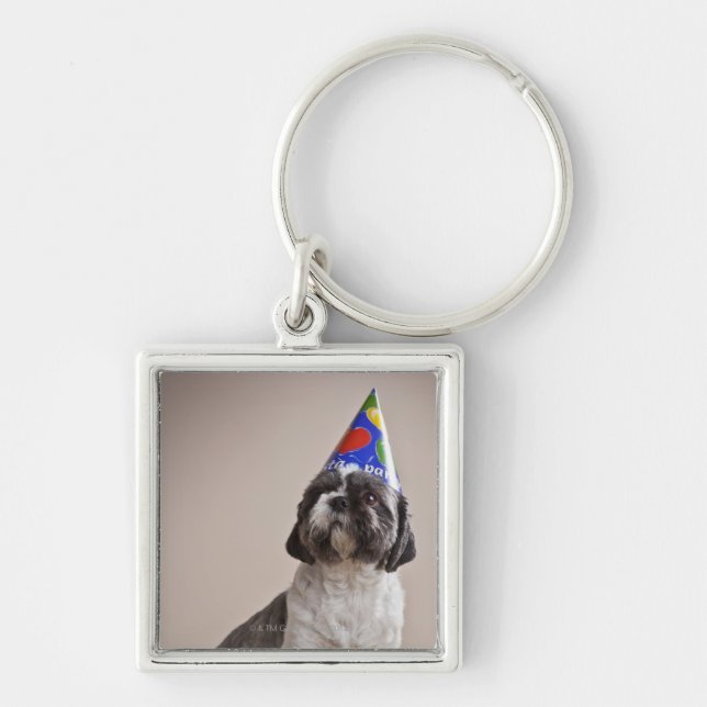Hund, der Geburtstag hat Schlüsselanhänger (Vorne)