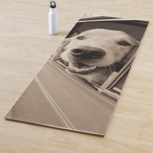 Hund, der heraus ein Auto-Fenster späht Yogamatte