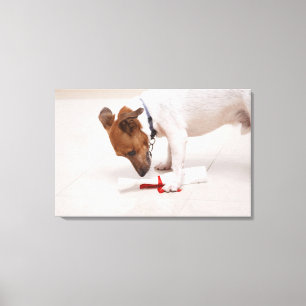 Hund, der hinunter ein Diplom schaut Leinwanddruck