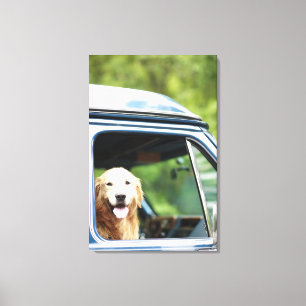 Hund, der im Auto sitzt Leinwanddruck