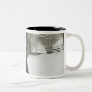 Hund, der im Schnee mit Blockhaus hinten sitzt Zweifarbige Tasse