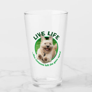 Hund, der in Hof läuft Glas