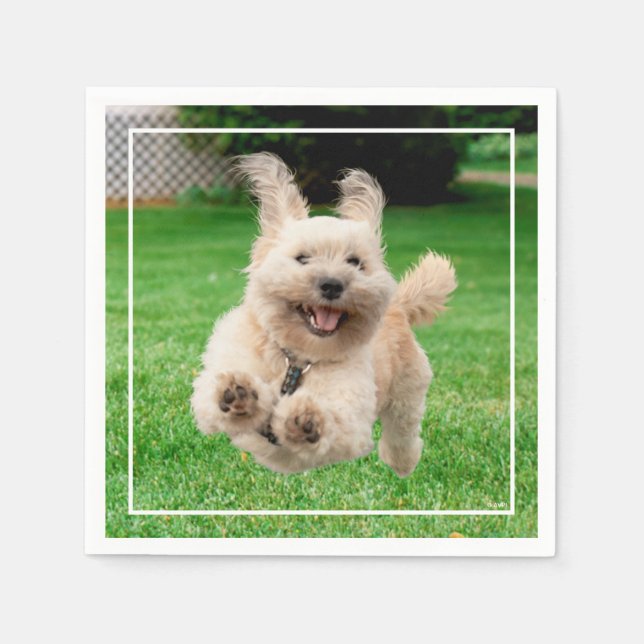 Hund, der in Hof läuft Serviette (Vorderseite)
