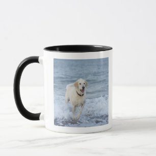 Hund, der in Wasser am Strand läuft Tasse