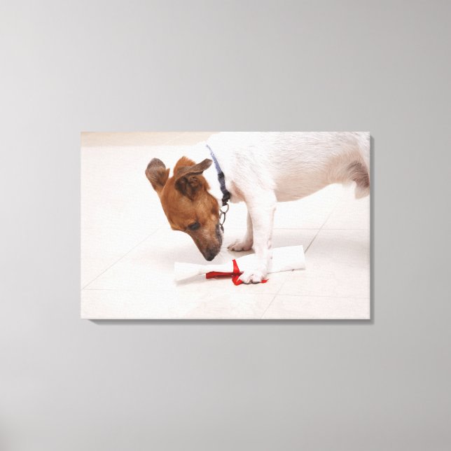 Hund, der nach einem Diplom sucht Leinwanddruck (Vorderseite)