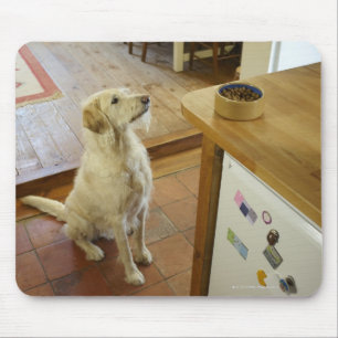 Hund, der Nahrung auf Tabelle betrachtet Mousepad