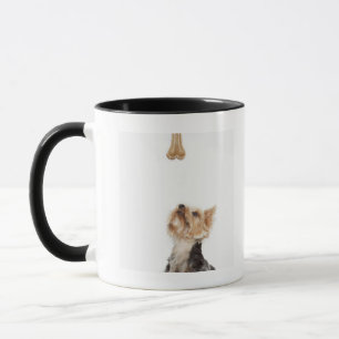Hund, der oben Knochen betrachtet Tasse