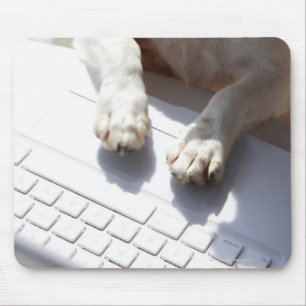 Hund, der seine Hände auf einen Laptop setzt Mousepad