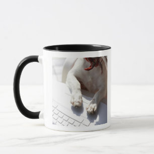 Hund, der seine Hände auf einen Laptop setzt Tasse